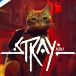 stray