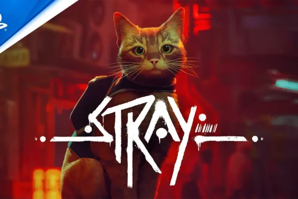 stray