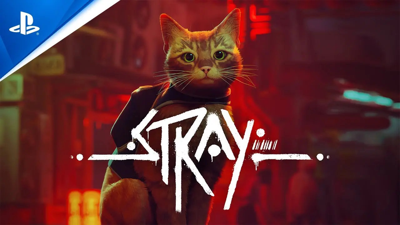 stray