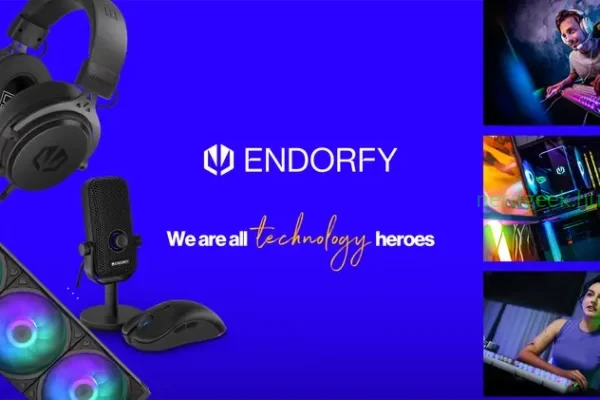 endorfy