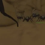 zombie-ants-vr