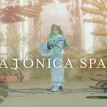 platonica-space