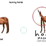 Horse_Magnifier_The_Full_Horse