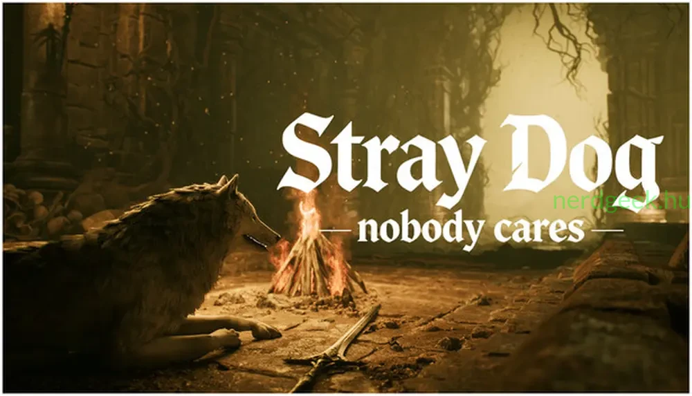 Stray Dog Nobody Cares