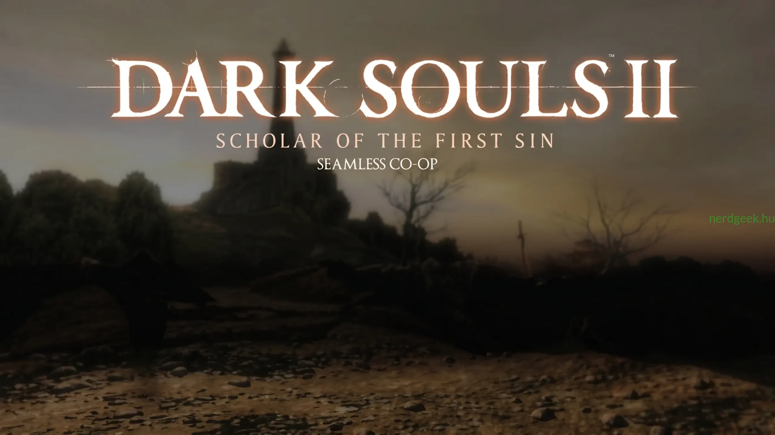Dark Souls 2 Seamless Co-op