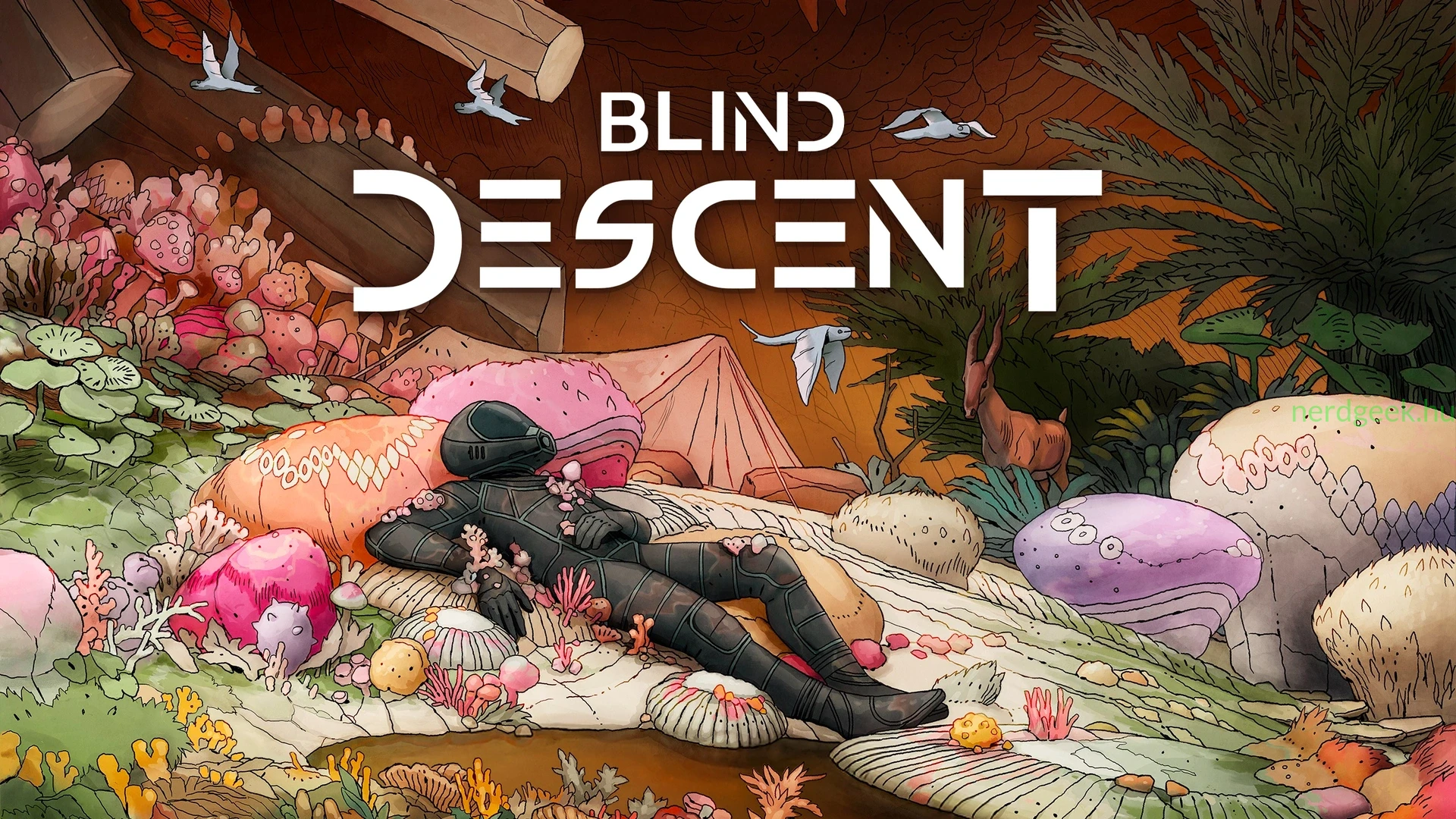 Blind_Descent