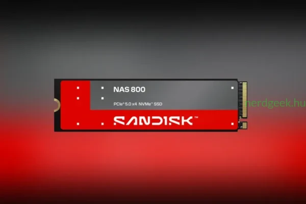 Sandisk NAS 800 SSD