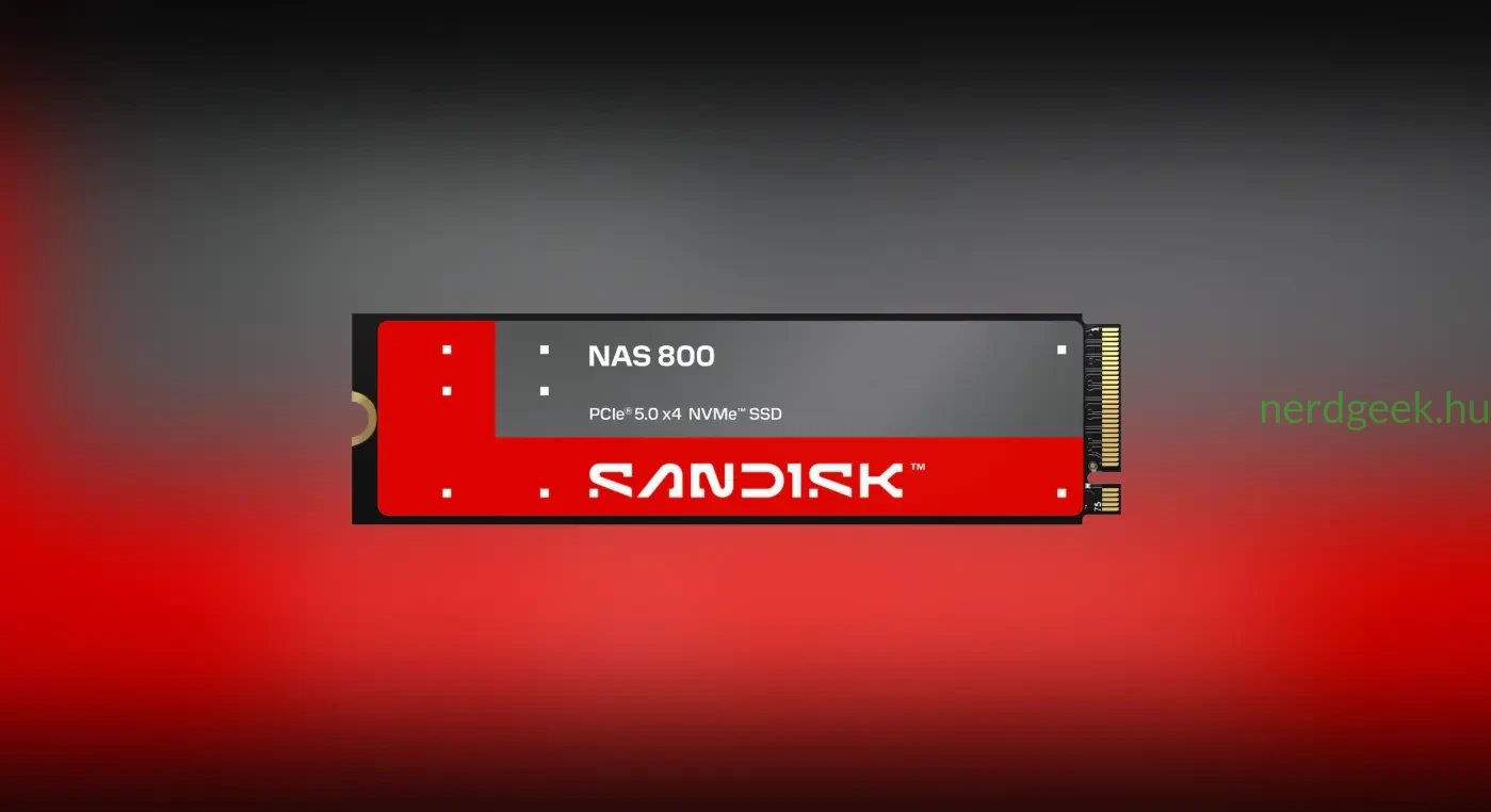 Sandisk NAS 800 SSD