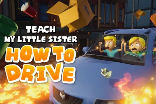 Teach_My_Little_Sister_How_To_Drive